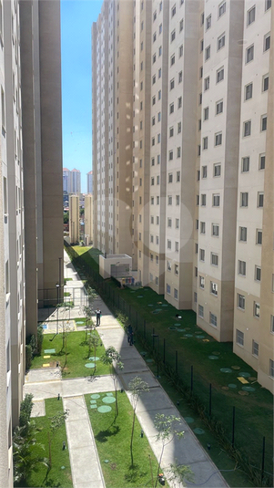 Foto REO1096798