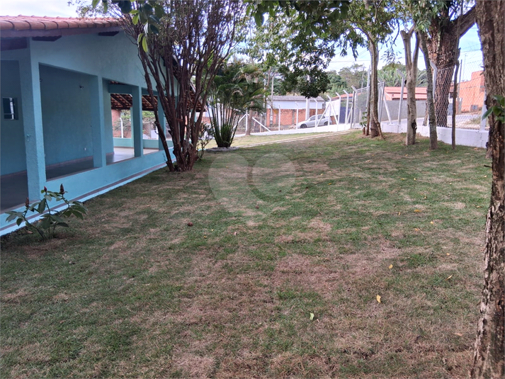 Foto REO1096813