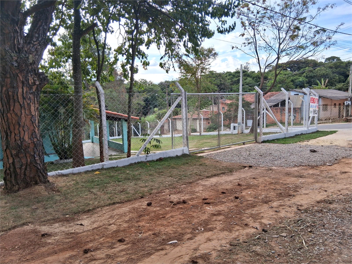 Foto REO1096813