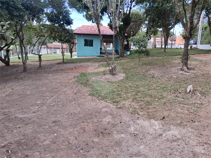 Foto REO1096813