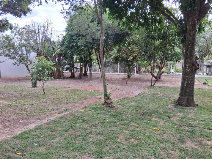 Foto REO1096813