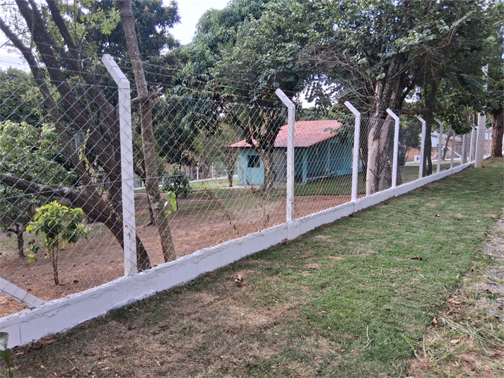 Foto REO1096813