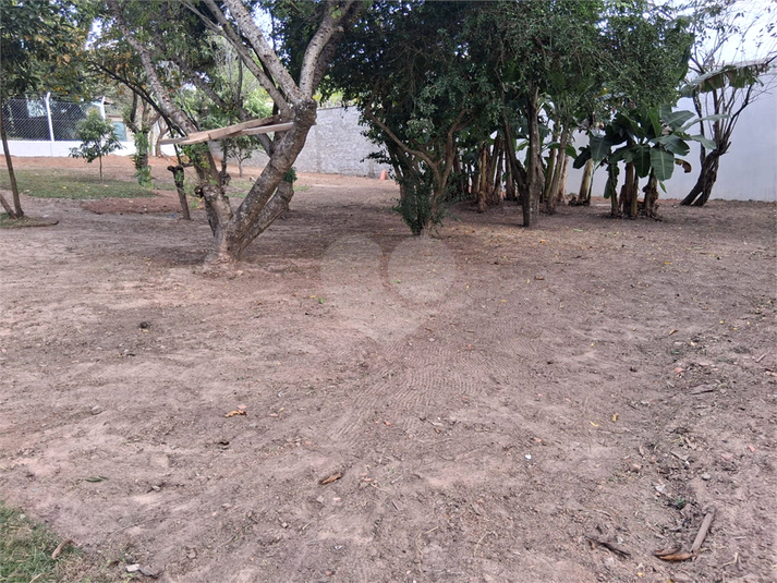 Foto REO1096813