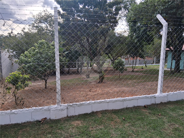 Foto REO1096813