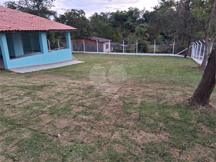 Foto REO1096813
