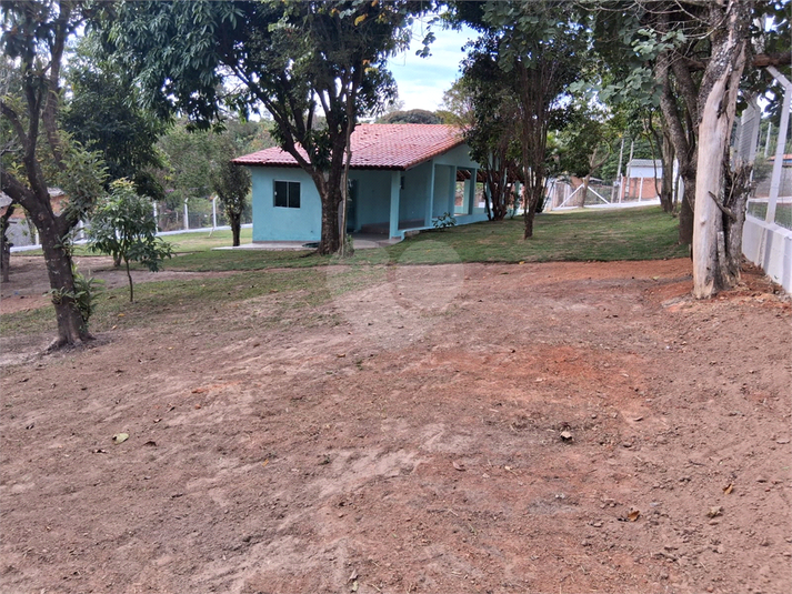 Foto REO1096813