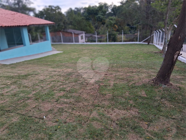 Foto REO1096813