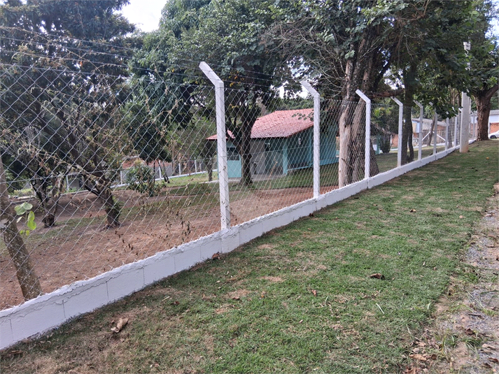 Foto REO1096813