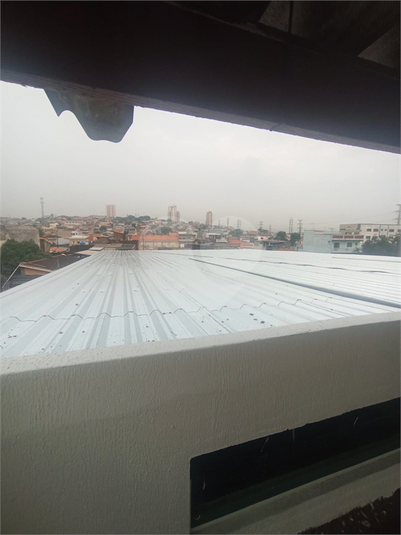 Foto REO1096814