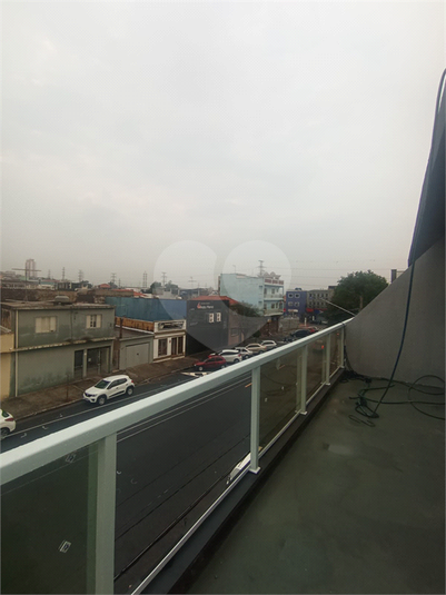 Foto REO1096814
