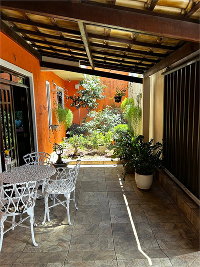 Foto REO1096816