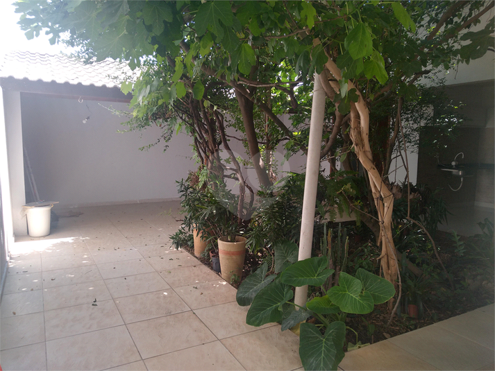 Foto REO1096824