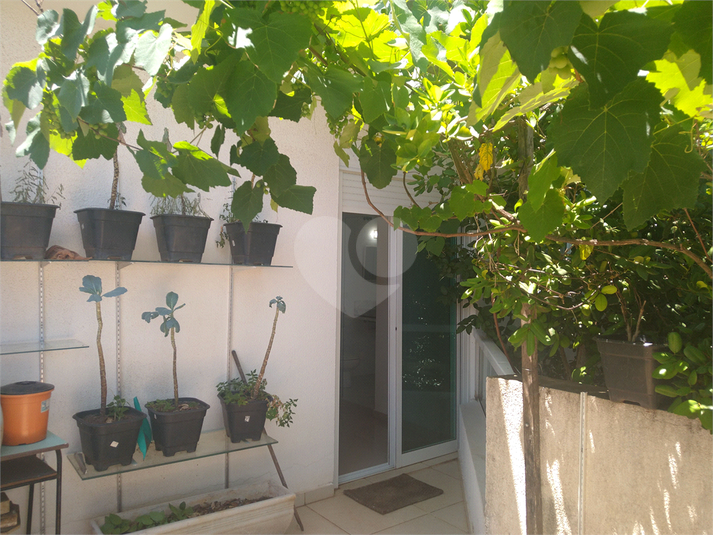 Foto REO1096824