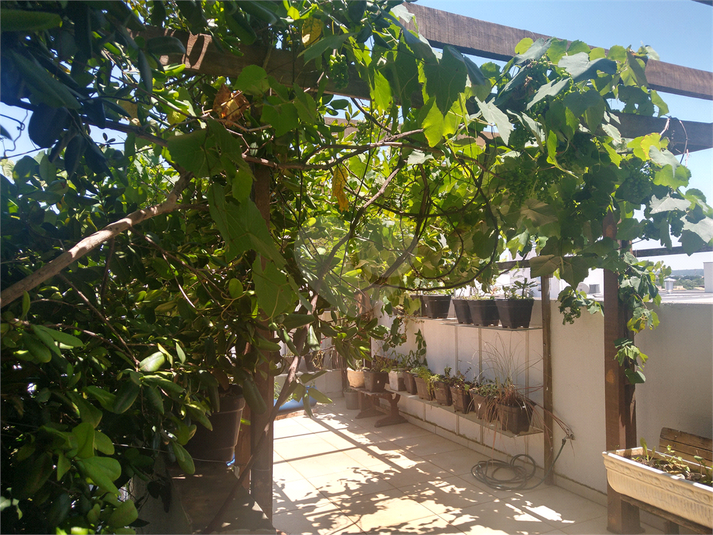Foto REO1096824