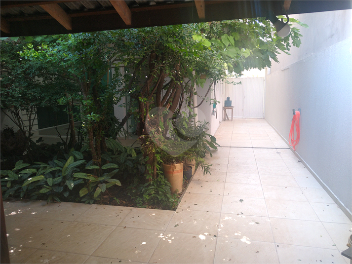 Foto REO1096824