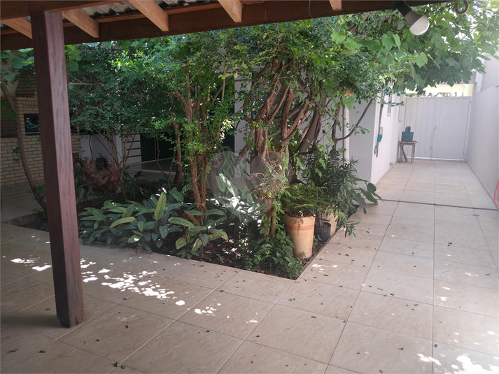 Foto REO1096824
