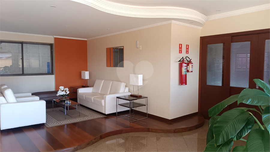 Foto REO1096830