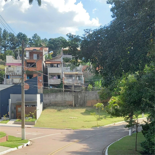 Foto REO1096831