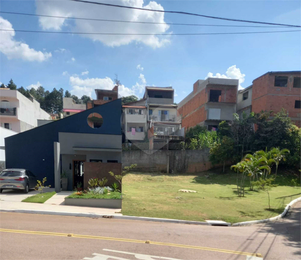 Foto REO1096831