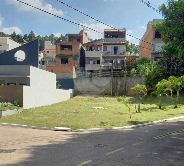 Foto REO1096831