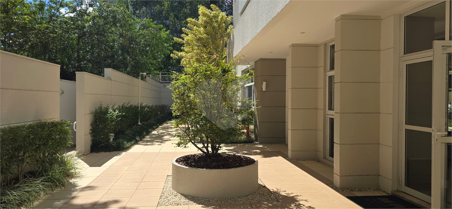 Foto REO1096836