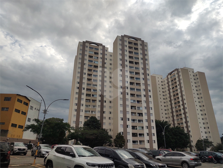 Foto REO1096839