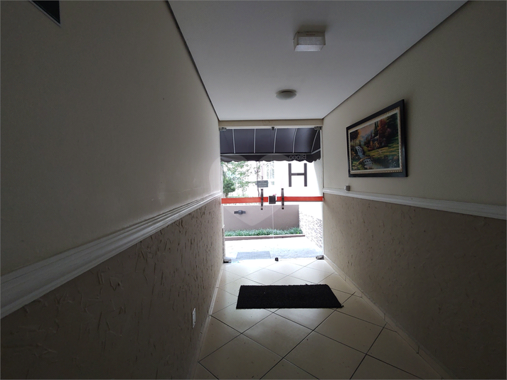 Foto REO1096839