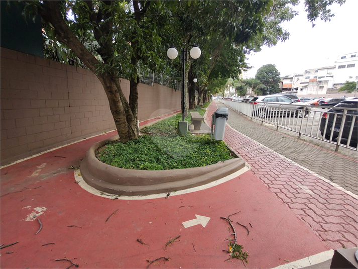 Foto REO1096839