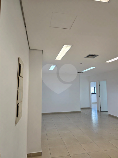 Foto REO1096840