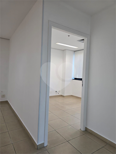 Foto REO1096840