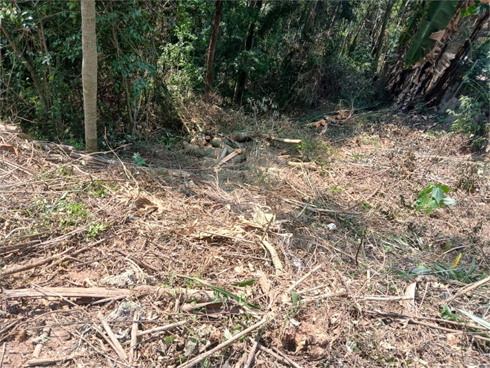 Foto REO1096845