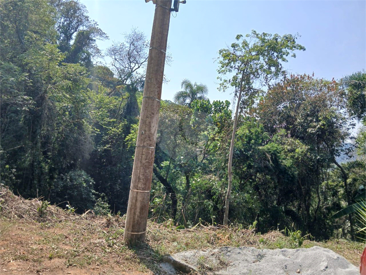 Foto REO1096845