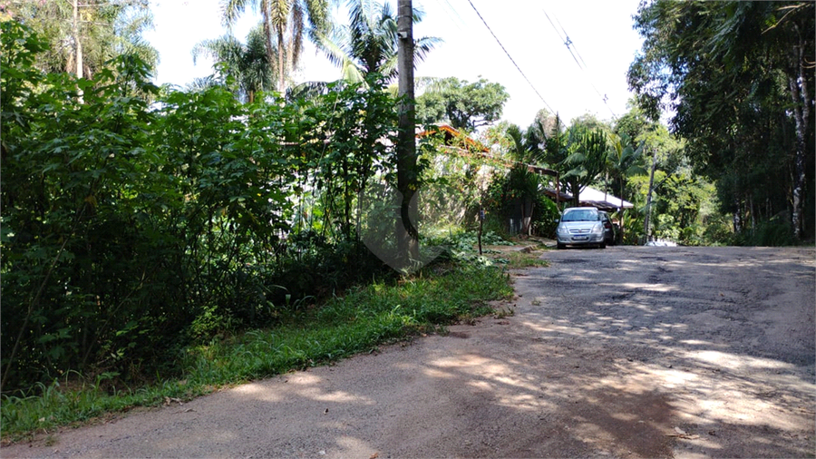 Foto REO1096845