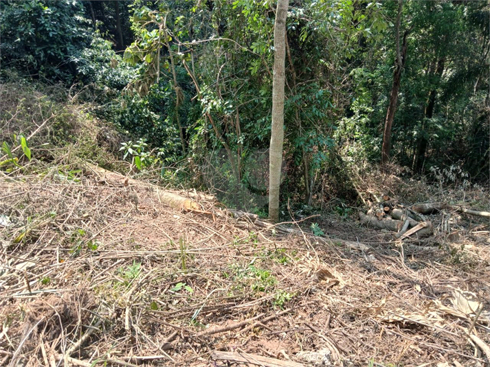Foto REO1096845