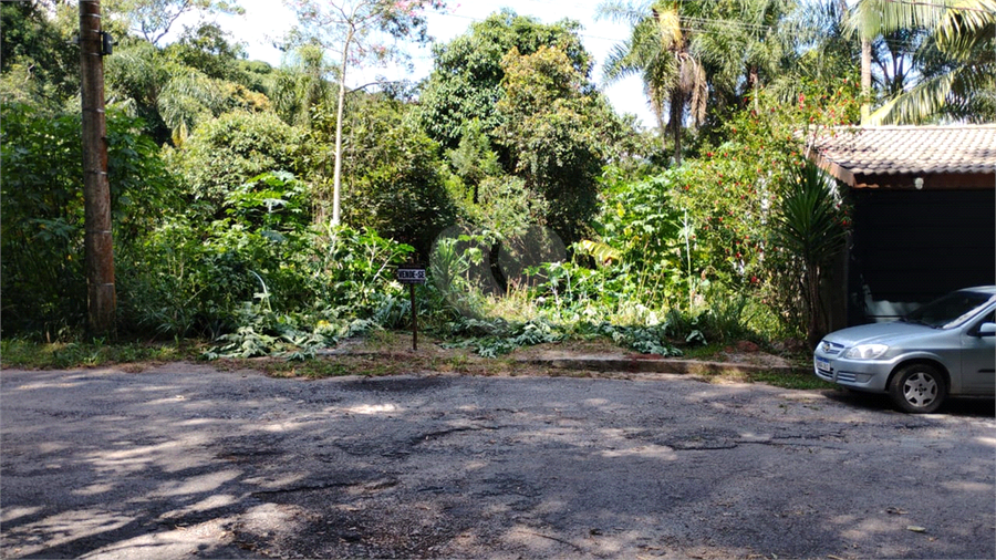 Foto REO1096845