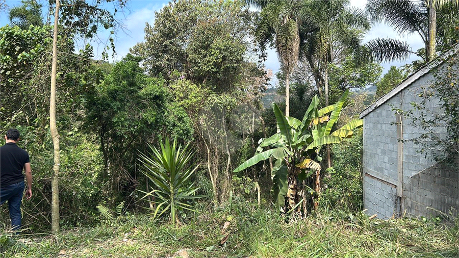 Foto REO1096845