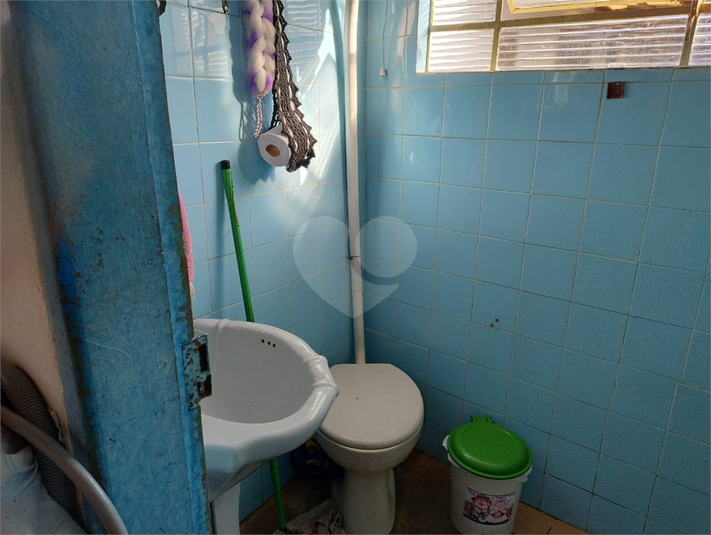Foto REO1096851
