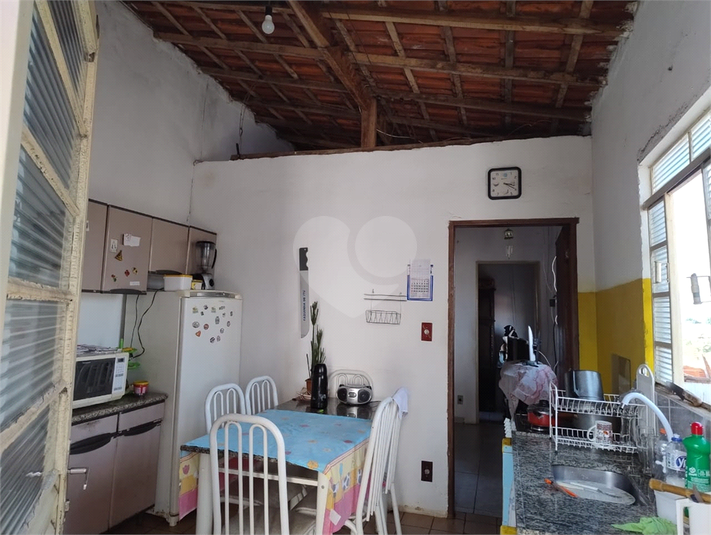 Foto REO1096851