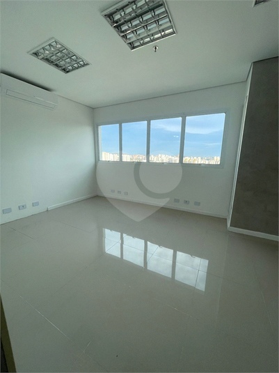 Foto REO1096852