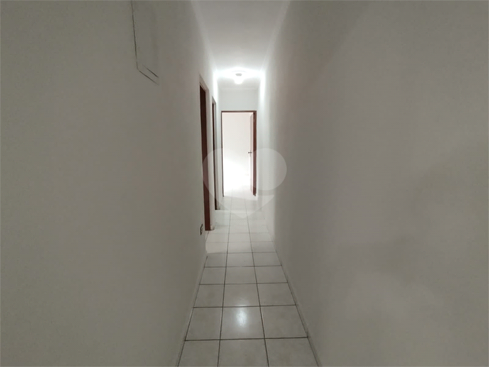 Foto REO1096867