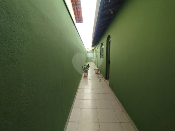 Foto REO1096867