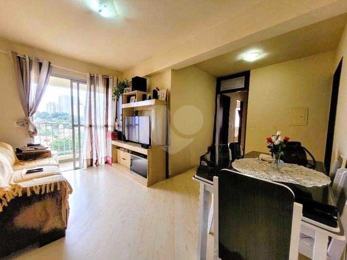 Foto REO1096874