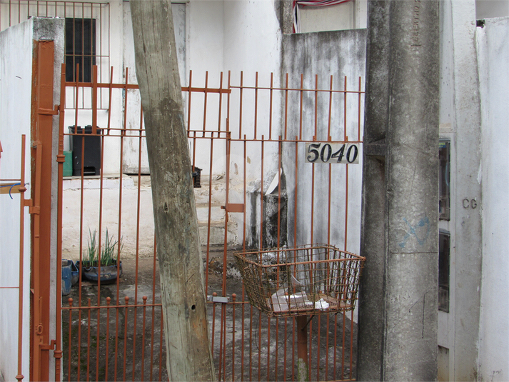 Foto REO1096906