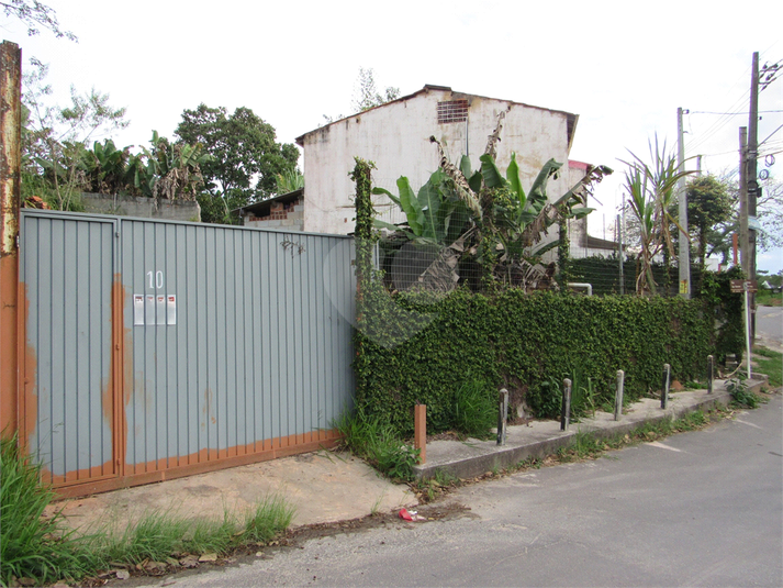 Foto REO1096906