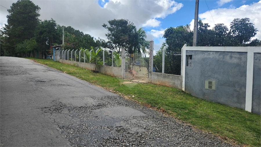 Foto REO1096909