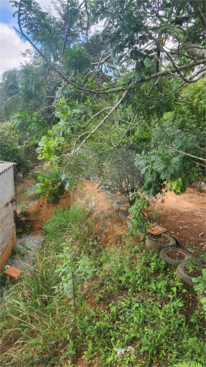 Foto REO1096909