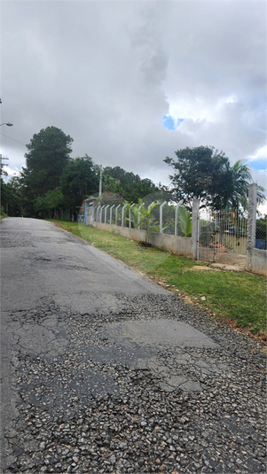 Foto REO1096909