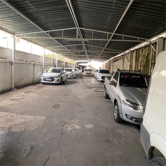 Foto REO1096910