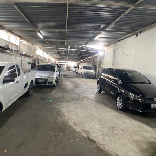Foto REO1096910
