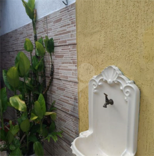 Foto REO1096912